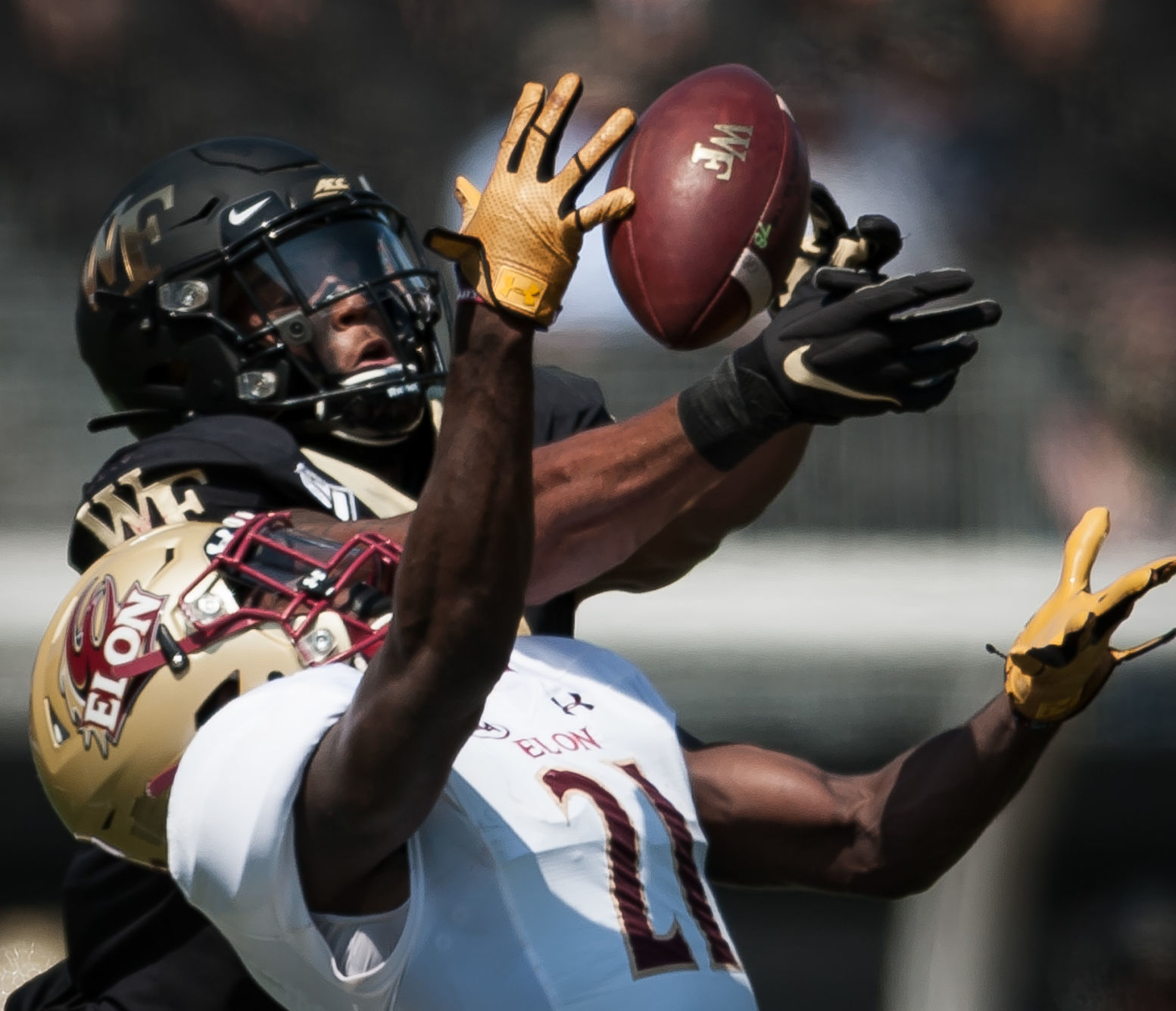 Wake Forest Elon Football